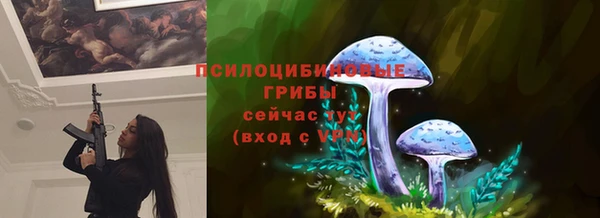 круглые Бородино